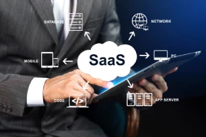 SaaS SEO   <br>Services